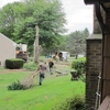 Woodeez Tree Service gallery
