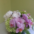 Ideal Orchids - Palm Beach Premium Orchid Florist