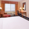 Holiday Inn Express & Suites Alamosa by IHG gallery