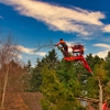 Omega Tree Service LLC gallery