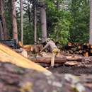 Twain Harte Tree Service