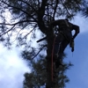 Garrison Tree Services gallery
