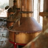 Randy Brigden Plumbing gallery