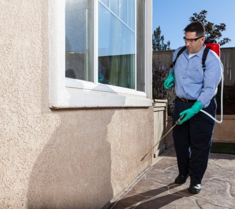 Apex  Pest Control Inc - Sacramento, CA