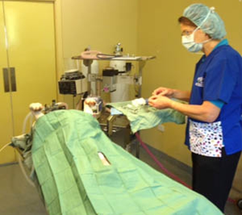 Belmont Avenue Veterinary Hospital - Belmont, WA