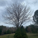 Fredy's Tree Service - Tree Service