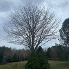 Fredy's Tree Service