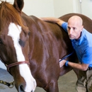 Carolina Equine Hospital - Veterinary Clinics & Hospitals