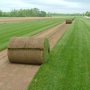 Hamilton Sod LLC