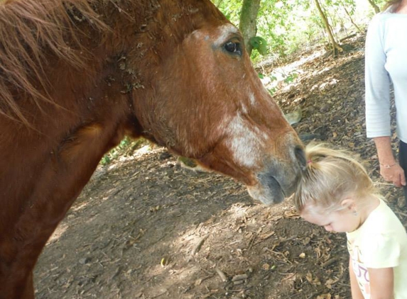 Hearts For Animals, Inc. - Laie, HI