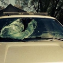 Capital Auto Glass - Glass-Auto, Plate, Window, Etc