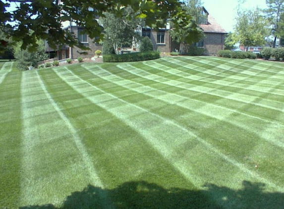 Jay's Lawn Maintenance - Lorain, OH. Lawn stripes
