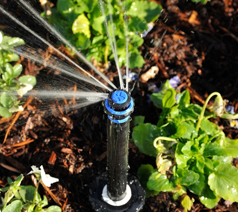 Andy's Sprinkler, Drainage & Lighting