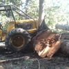 Northman Logging gallery