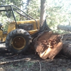 Northman Logging