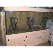 Gallery Image Number 4