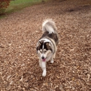 Urbana Dog Park - Dog Parks