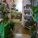 Nice One Flower Shop - Flowers, Plants & Trees-Silk, Dried, Etc.-Retail