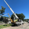Tree Sixty Tree Service gallery