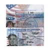 A1 Passport & Visa Express gallery
