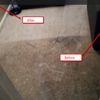 Whole House Carpet Cleaning gallery