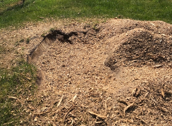 k&c tree removal & logging - Rochester, NY. Remaining stump on the upper left side