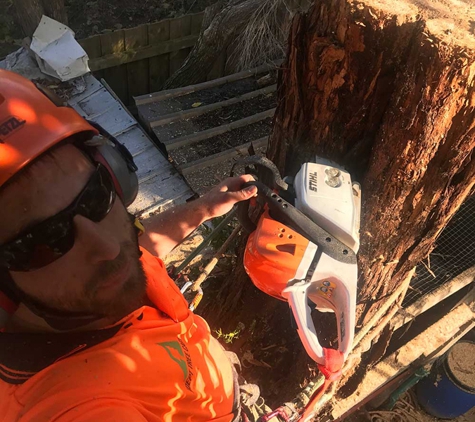 Gravity Tree Worx - Nerrina, VIC