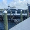 Sunset Isle Marina and Yacht Club gallery