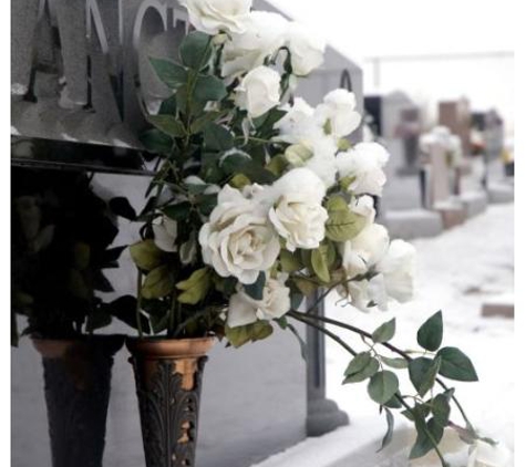 Dailey Family Funerals - Lambton, NSW