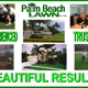 Palm Beach Lawn