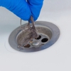 Tim Draper Plumbing gallery