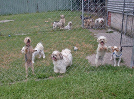 Pets Park Kennels - Sancrox, NSW