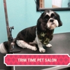 Trim Time Pet Salon gallery