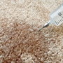 Kiwi Services Carpet Cleaning