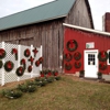 Swan's Christmas Tree Farm gallery