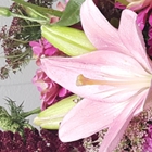 Lafayette Florist