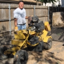 Pastwas Tree Service LLC - Tree Service