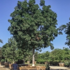 Moon Valley Nurseries