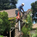 Sacramento Valley Tree Services, Inc. - Landscape Contractors