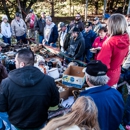 Shannon & Associates Real Estate & Auctions - Real Estate Auctioneers