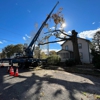 Wayne's Tree Service gallery