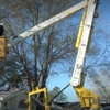 Mid-Florida Tree Service gallery