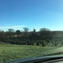 Valley View Tree Farm