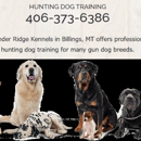 Thunder Ridge Kennels - Dog Training