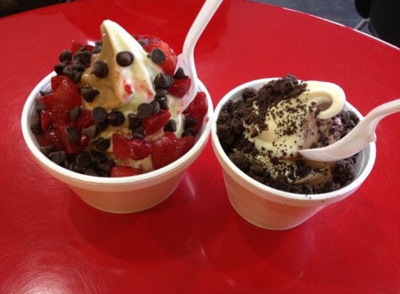 Penguin's Frozen Yogurt - Marina Del Rey, CA