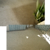 Amazing Carpet Cleaner gallery
