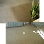 Amazing Carpet Cleaner