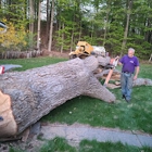 Lakes Region Tree & Stump Removal