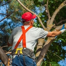 J & L Tree Service - Stump Removal & Grinding