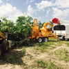 Arbor Master Tree Service gallery